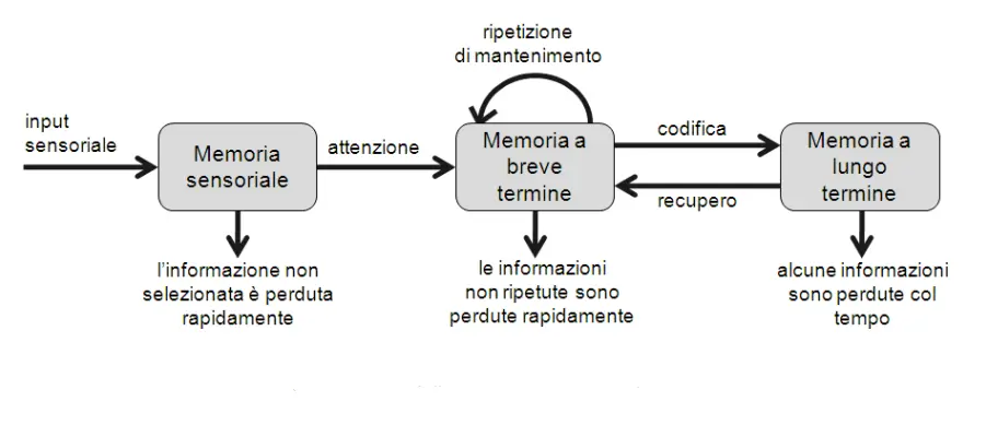 Figura 1: vari tipi di memoria. Schema di rete ad accesso in forma ibrida