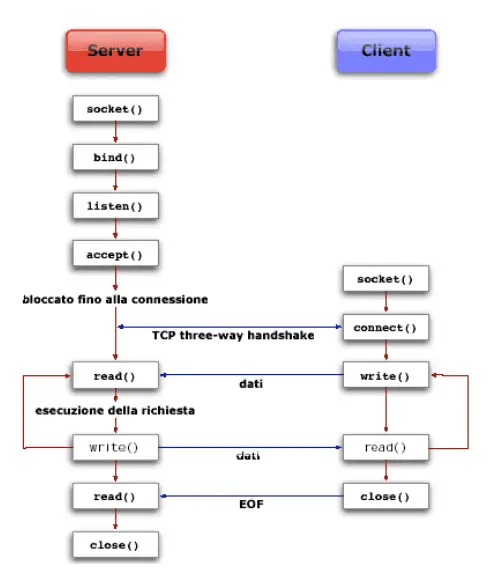 Schema del protocollo TCP